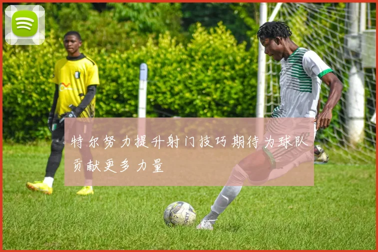 特尔努力提升射门技巧期待为球队贡献更多力量