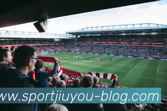 App Interface Preview